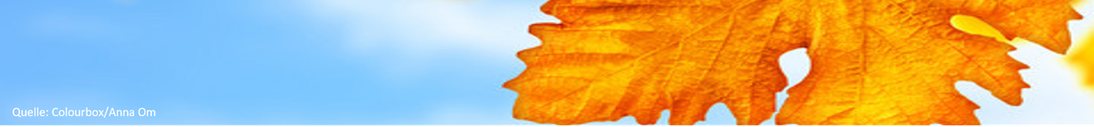 Herbst_Banner.png