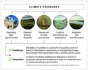 Towards a rigorous understanding of societal responses to climate change