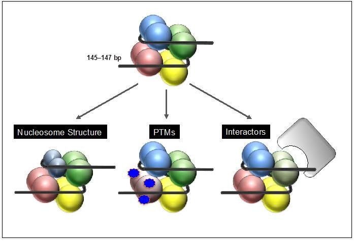 Figure-2