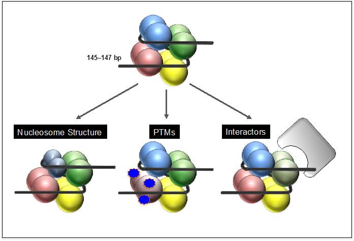 Figure-2