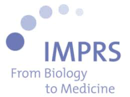 Logo IMPRS