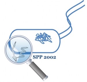 SPP2002.jpg