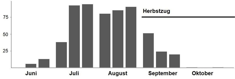 Summe der Jungvögel (1957-2023), verteilt auf die Dekaden der Monate..jpg