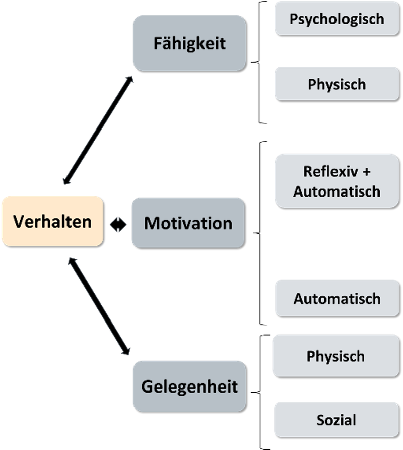 Abb2_Rehmet_COM-Modell.png