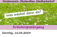Kräuterwanderung_2024_Screenshot.png