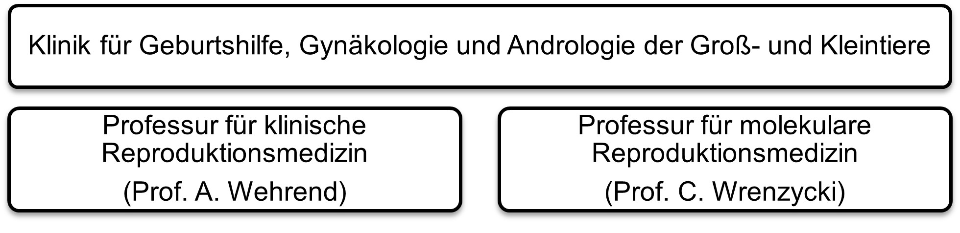 Schaubild (2)