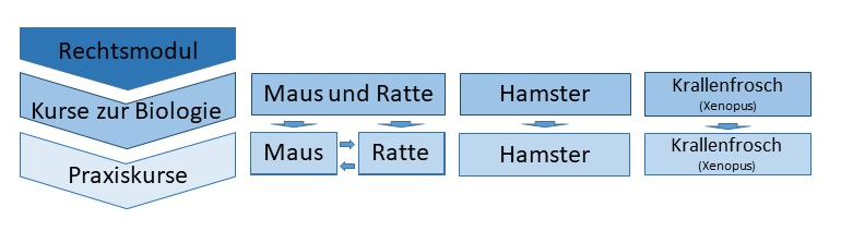 Versuchstierkundliche Kurse