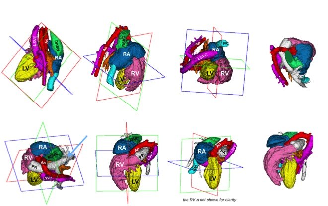 CP02 figure 3