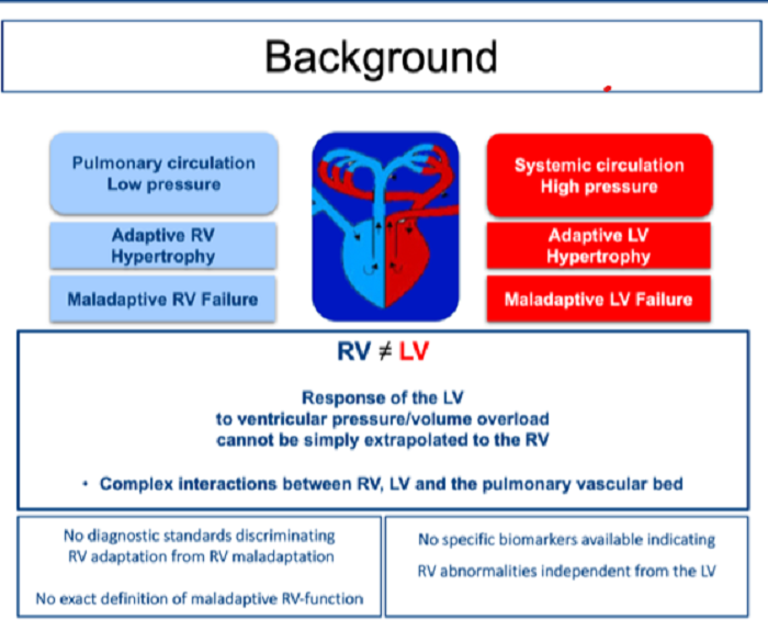 Graphical abstracts B07-1.png