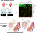 Graphical Abstract B01web.jpg