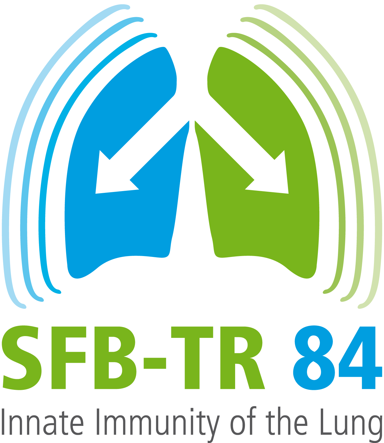 SFB-TR84