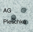 AG Pleschka.jpg