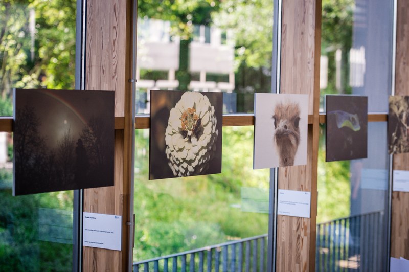 GGL Fotoausstellung