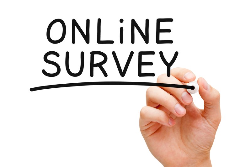 Online Survey