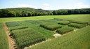 Test fields at Gladbacher Hof