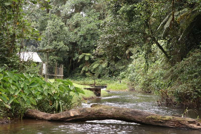 Agroforestry system and water resources in Africa