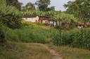 Traditional agroforestry homegardens in Tanzania