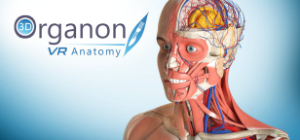 3D Organon