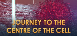 Journey to the Centre of the Cell