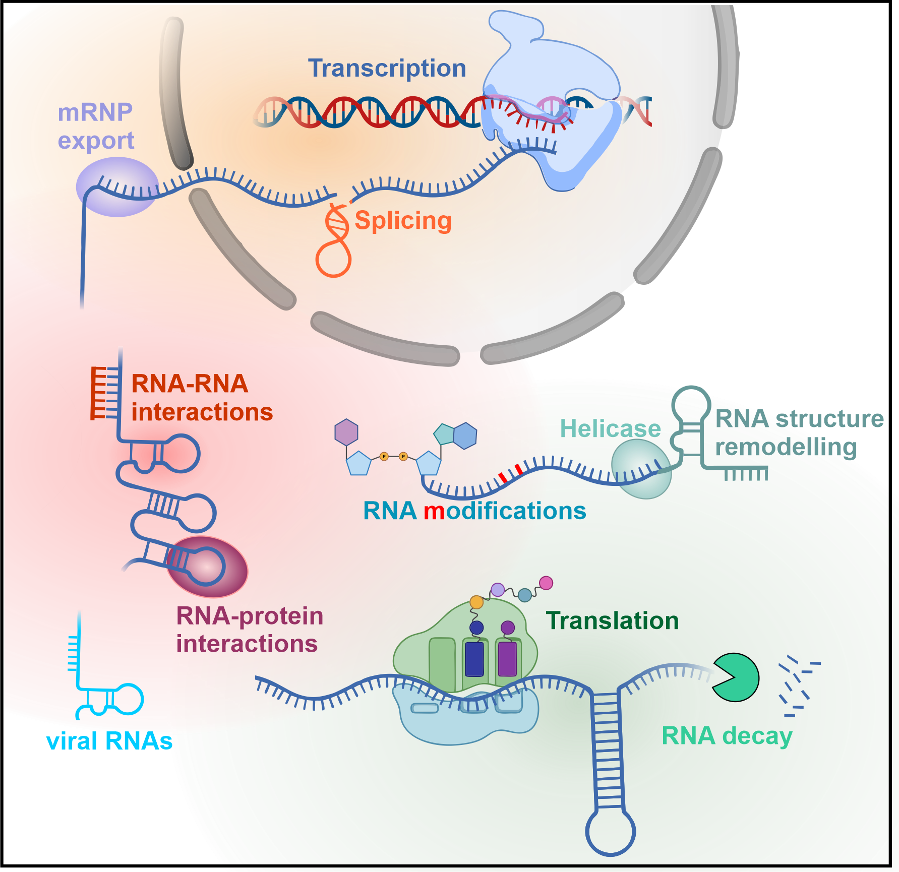 RNA-Forschung