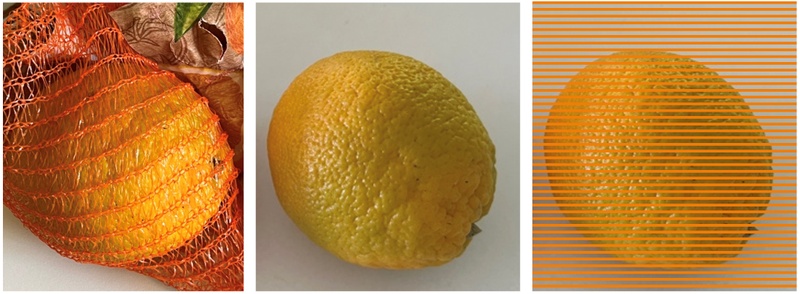 PM123-24 Wahrnehmungstäuschung Orangen.jpg