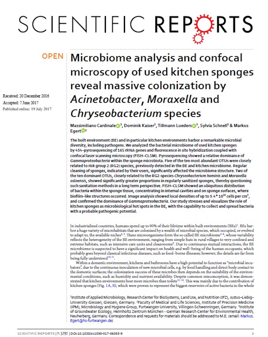 Microbiome kitchen sponges 2017