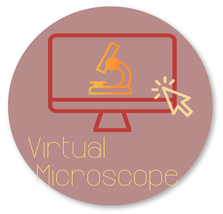 Button_virtual_microscope.png